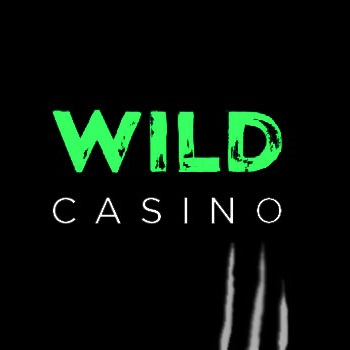 Full Testimonial of Wild Online Casino